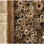 17-BibliotecaAlessandria9-150x150.png