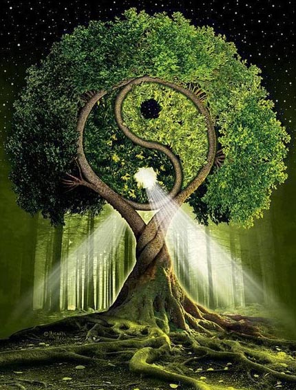 albero.jpg